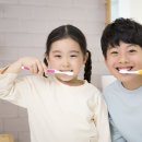 헬스조선비엔에이치