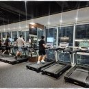 피트니스 엘 이미지