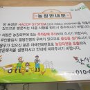뽐디자인 이미지