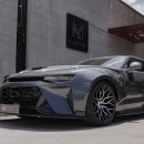 커스텀게러지 이미지