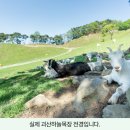 이기목장 이미지