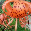 이승현농장 이미지