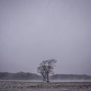 노고록이 이미지