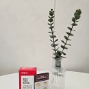 올포유 헬스케어 이미지