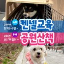 강남켄넬 이미지