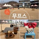 무프스 유치원 | 무프스 전주 애견 카페 애견유치원
