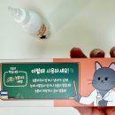 (주)리스펫 이미지