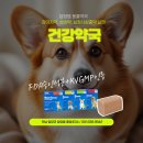 담양동물약국 이미지