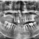 사과나무치과의원 이미지