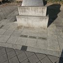 중앙동269 이미지