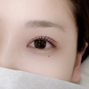 왕십리로 | 왕십리 베이유뷰티 속눈썹펌 후기