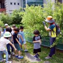 생태연못 이미지