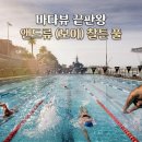 [호주여행/수영장] 시드니 앤드류 보이 찰튼 풀 후기