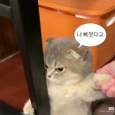 명심 이미지