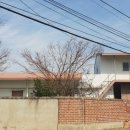 r경남 창원시 의창구 대산면 전원주택 매매 276평[e-1352] 이미지