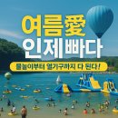 시원한 여름 면애(愛) 빠지다 (7월) | 🎉인제 여름 물놀이 축제? 이거 놓치면 손해!