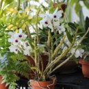 무명농장 이미지