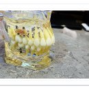 우리삼성치과의원 이미지