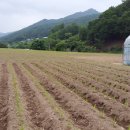 태양농원 이미지