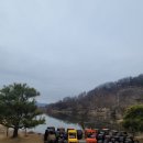 어서와 댕댕아 이미지