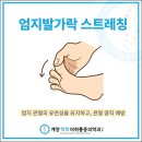 계양척척마취통증의학과의원 이미지