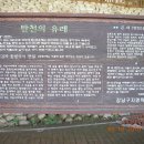 탄천로 이미지