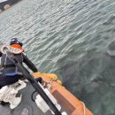 여수해양경찰서광양파출소 이미지