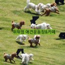 뛰뛰멍 이미지