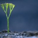 먹는 행복 이미지