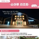 강산여행사 이미지