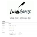 (주)루미가넷 Daum카페