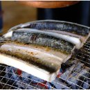 황금장어 이미지