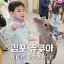 양도로 19번길 | 김포 아이랑 갈만한 곳 실내동물원 아쿠아리움 쥬쿠아 방문후기