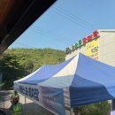 2024 함안 낙화 놀이 후기, 꿀팁 셔틀버스