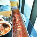 비자림 | 제주 비자림 숲 비자림길 산림욕 후기 제주도 숲길 추천