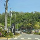 엠에스캠핑 천왕산 캠핑 매점 | 서울 캠핑장 : 구로 천왕산 가족캠핑장 A9 데크 후기