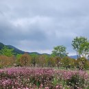 신화랑풍류숲길 | 자연과 전통이 어우러진 청도신화랑 풍류마을
