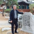 한국차협동조합 이미지