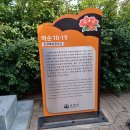 홍매화로 유명한 마을 순천매곡동을 돌아보고 와서 이미지