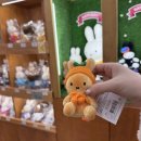 김밥파는사람들(영진전문대점) | 백수지만 데이식스는 좋아해