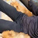 카페54 이미지