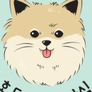 호두네 수제간식 이미지