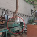 구평동-10 이미지