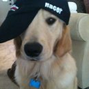 몽글몽글 이미지