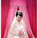 태경컨설팅 이미지