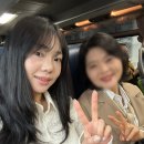 유후인,벳부 당일치기 버스투어(유유버스투어) 내돈내산 솔직 후기