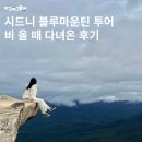 비 올 때 다녀온 시드니 블루마운틴 투어 후기 (+꿀팁)
