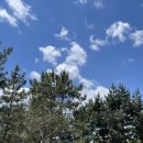 해브온 비 이미지