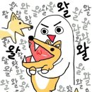 올라라 이미지