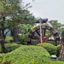 물레방아 | 맛집 추천 | 용인 기흥구 닭백숙 맛집 물레방아 내돈내산 후기